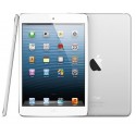 تبلت اپل مدل iPad mini Wi-Fi - ظرفیت 16 گیگابایت